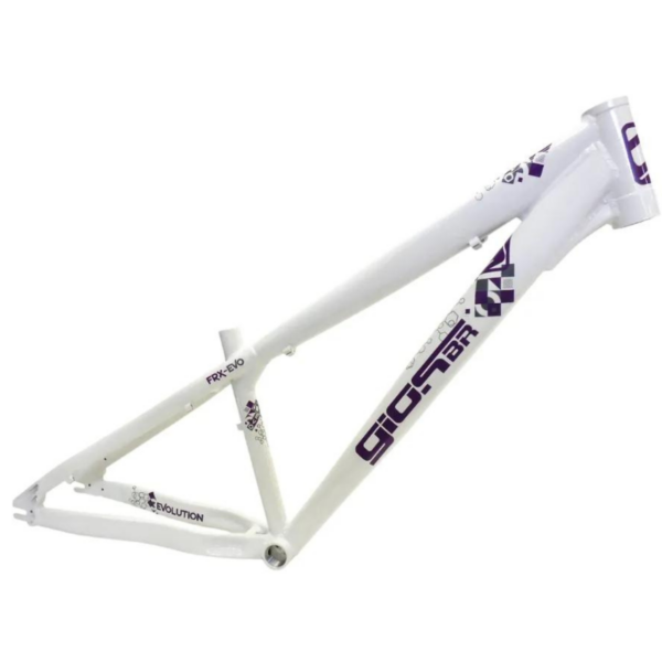 Quadro 26 FRX Evo 4-Trix Wheeling Gios Bike Dh | Dirt | Grau - Image 3