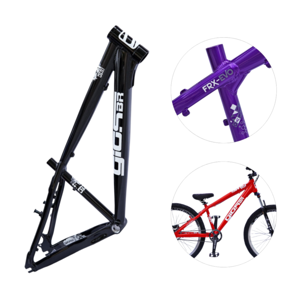 Quadro 26 FRX Evo 4-Trix Wheeling Gios Bike Dh | Dirt | Grau - Image 2